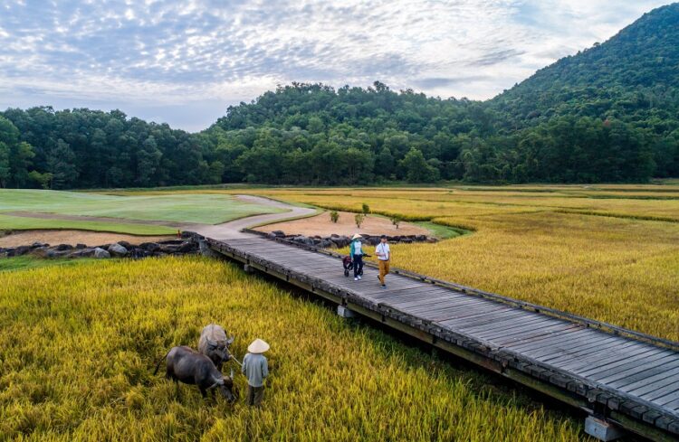 Vietnam Golf Coast Evokes a Sense of Place This Summer - TRAVELINDEX